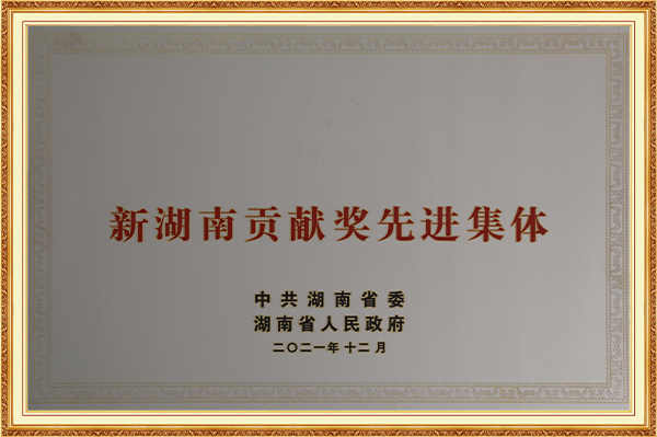新湖南贡献奖先进集体2021年12月